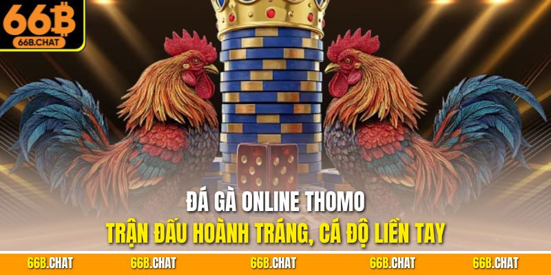 Đá Gà Online Thomo - Trận Đấu Hoành Tráng, Cá Độ Liền Tay